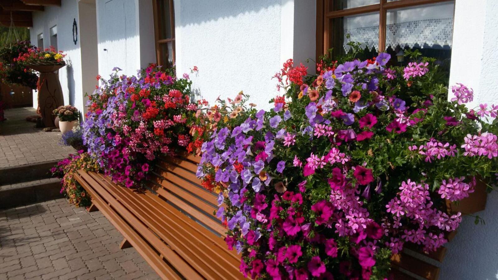 Urlaub Am Raderhof In Der Ferienregion Lungau Apartment Mauterndorf  Exterior foto